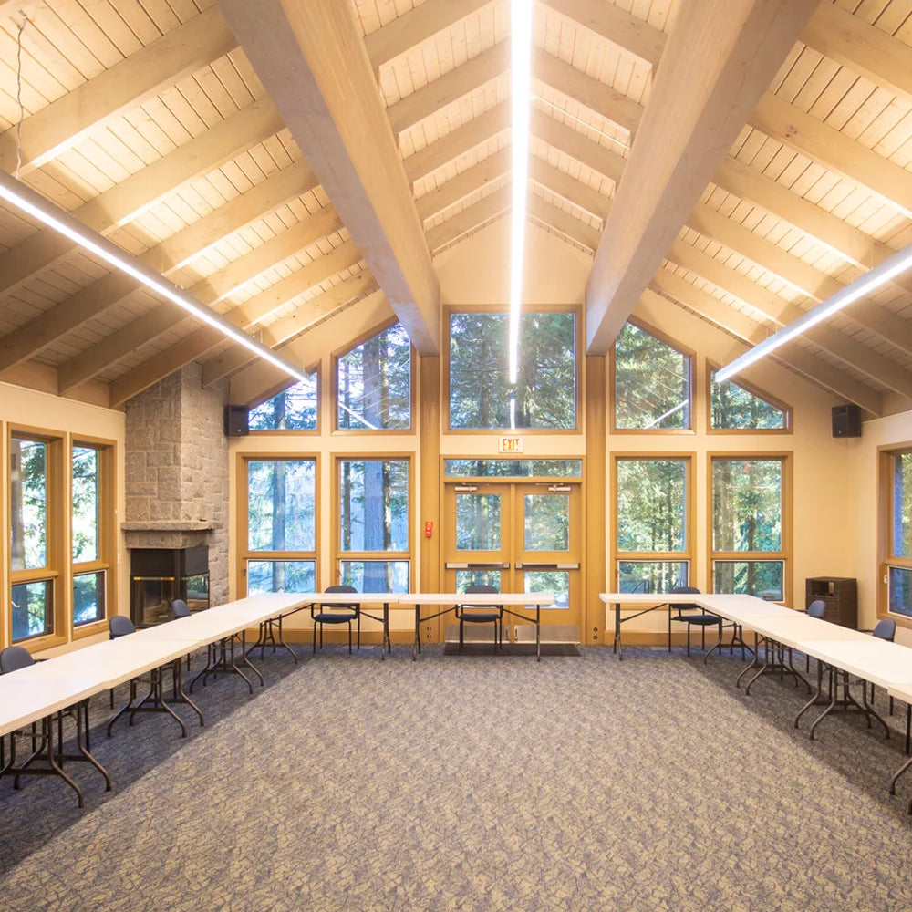 Leedon Single Pendant (0-10V Dimming)