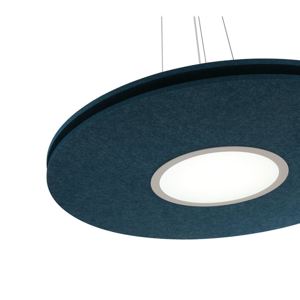 AMANDA disc acoustic