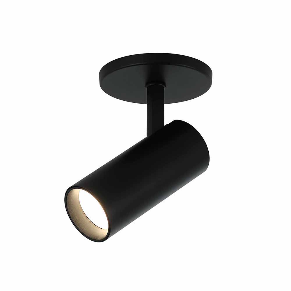 Pivot - Wall or Ceiling