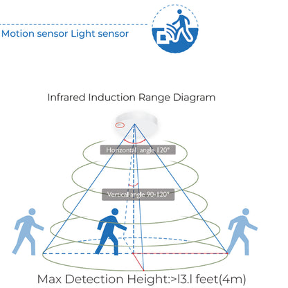 Taylor - Sensor