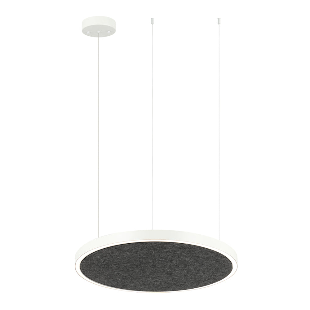 AMANDA disc acoustic