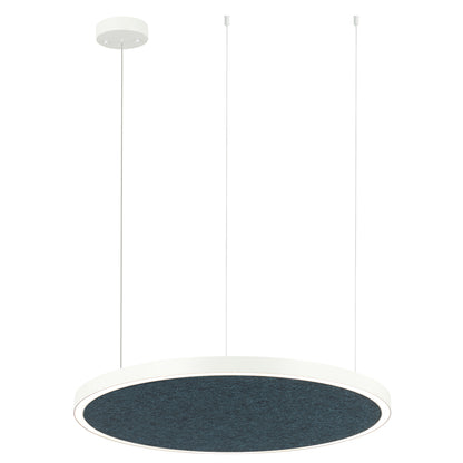 AMANDA disc acoustic