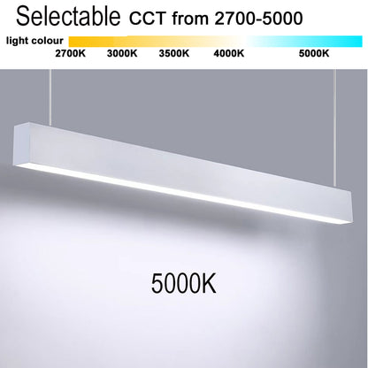 Leedon HO Pendentif simple (gradation 0-10V)