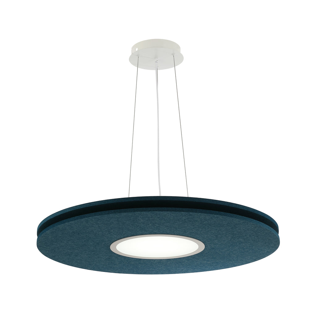 AMANDA disc acoustic