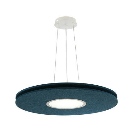 AMANDA disc acoustic