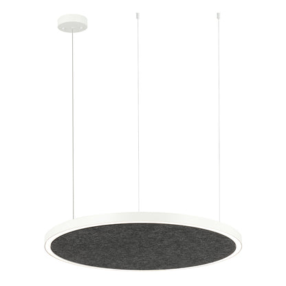 AMANDA disc acoustic