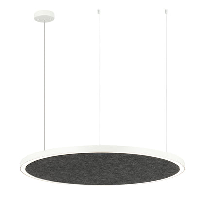 AMANDA disc acoustic