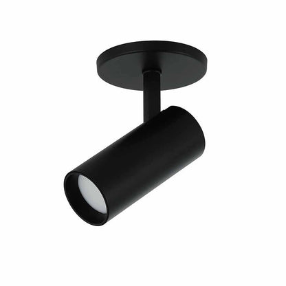 Pivot - Wall or Ceiling