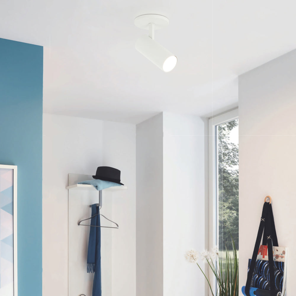 Pivot - Wall or Ceiling